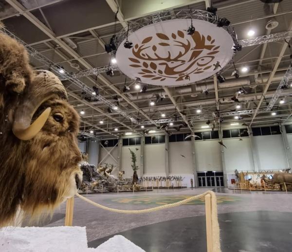 Kiállítás dekoráció